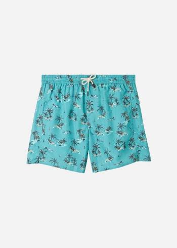 Calzedonia Formentera Sport Zwembroek Heren Groen | BE2944VD